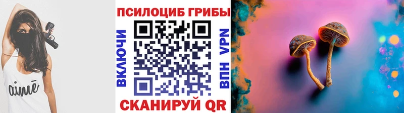 МЕГА ссылки  Мостовской  Галлюциногенные грибы мицелий  закладки 